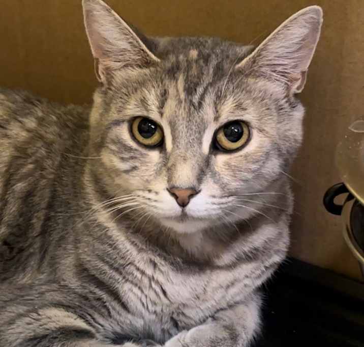 Photo of Trinity