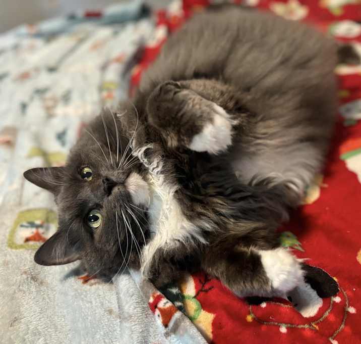 Photo of Susie