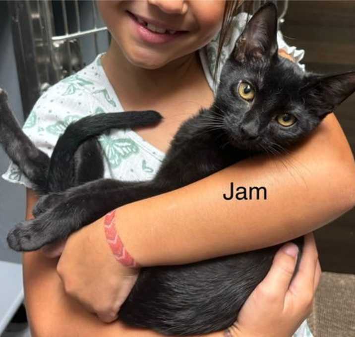 Photo of Blackberry Jam