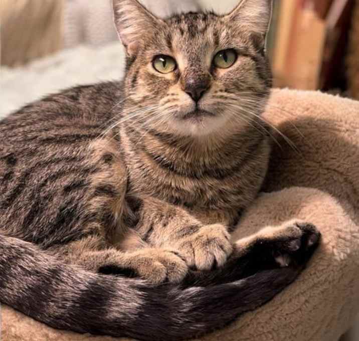 Photo of Romi