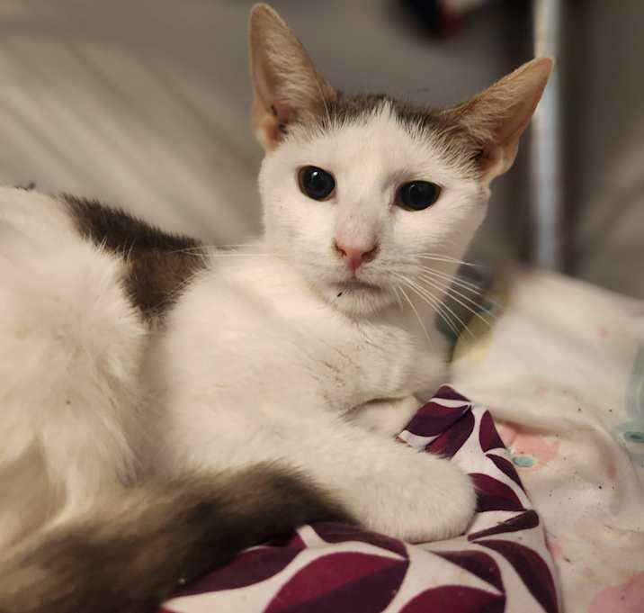 Photo of Sierra