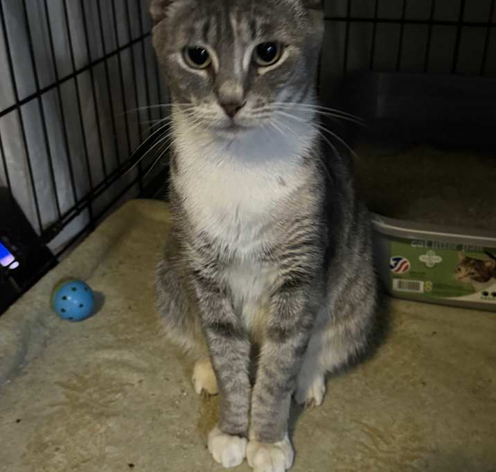 Photo of Betsy