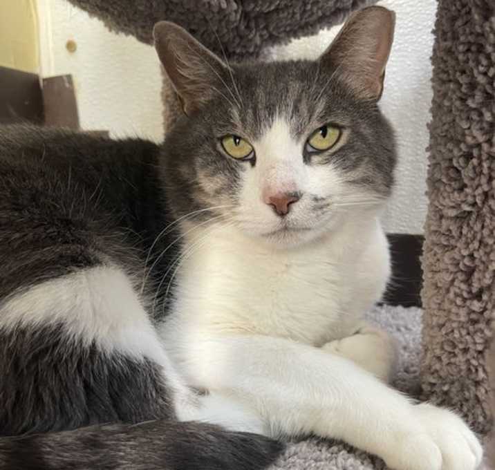 Photo of Micah