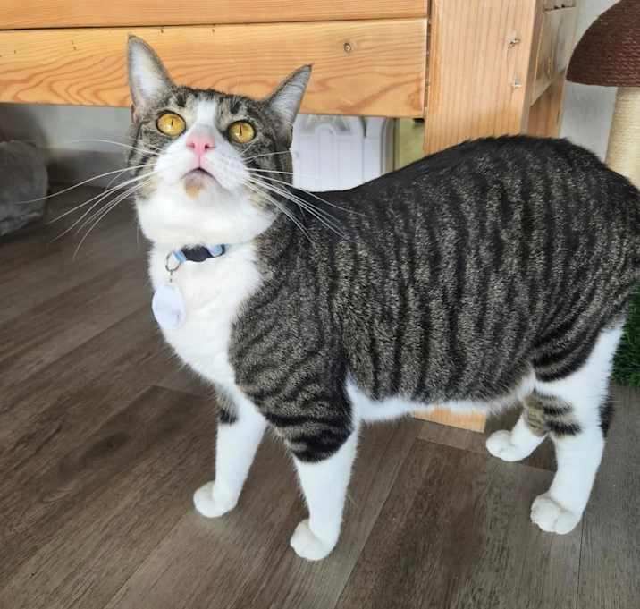 Photo of Ruby 5