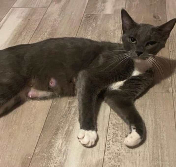 Photo of Fifi