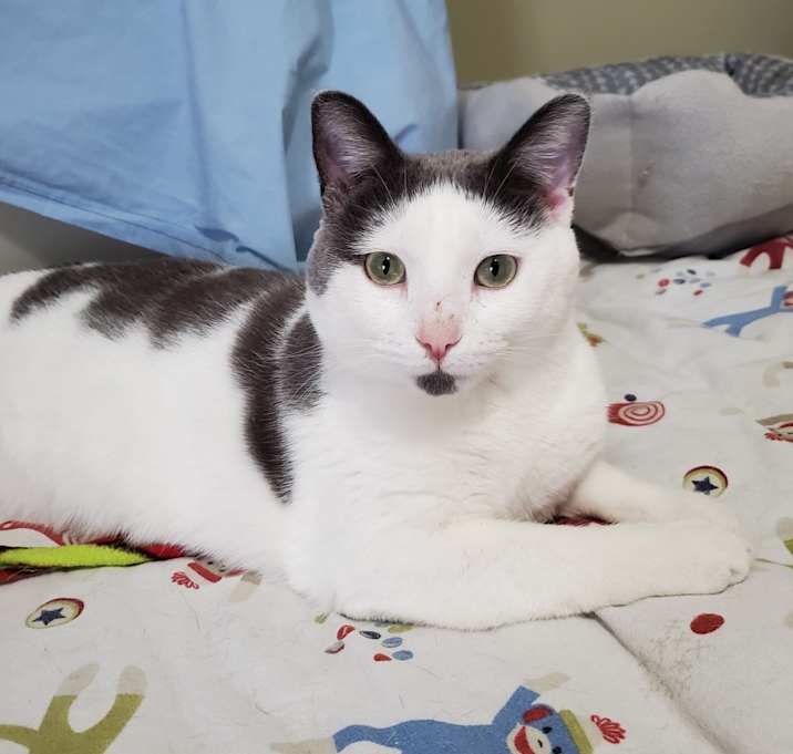 Photo of Captain