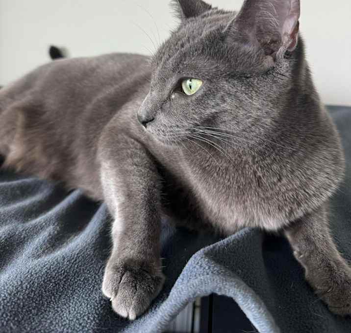 Photo of Stormi