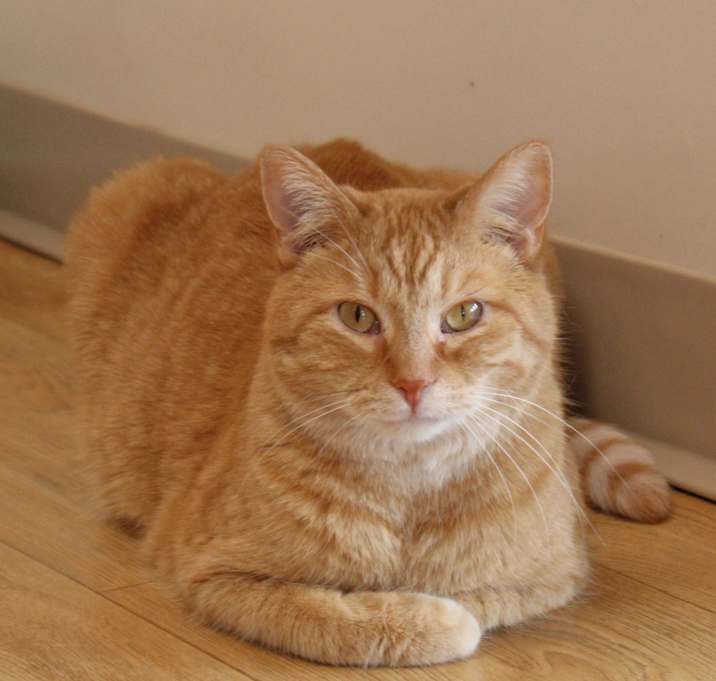 Photo of Terry