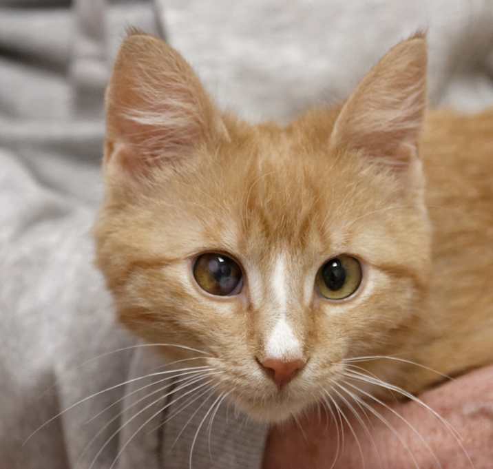 Photo of Ginnie