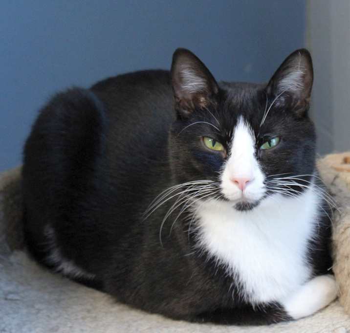 Photo of Georgie