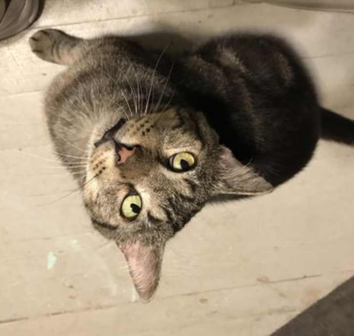 Photo of Titan