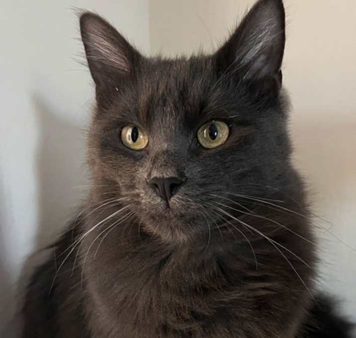 Photo of Ash