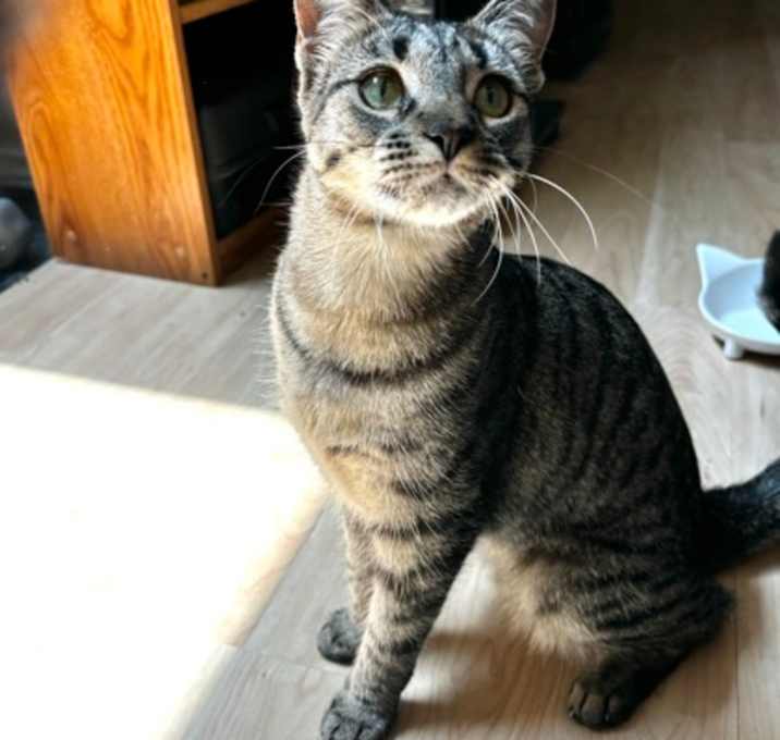 Photo of Xenia
