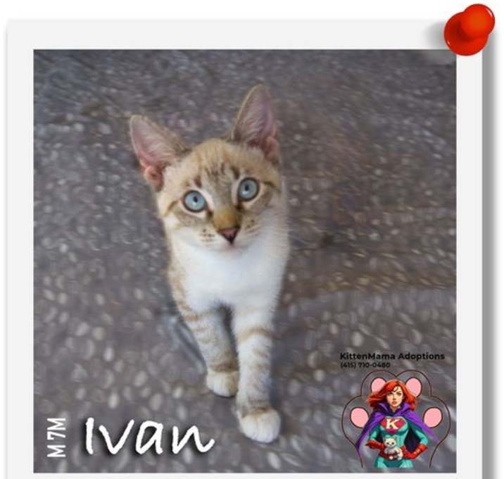 Photo of Ivan