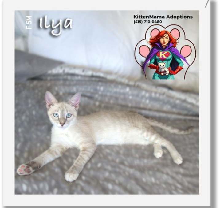 Photo of Ilya