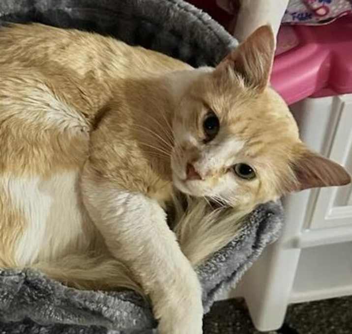 Photo of Jack Jack