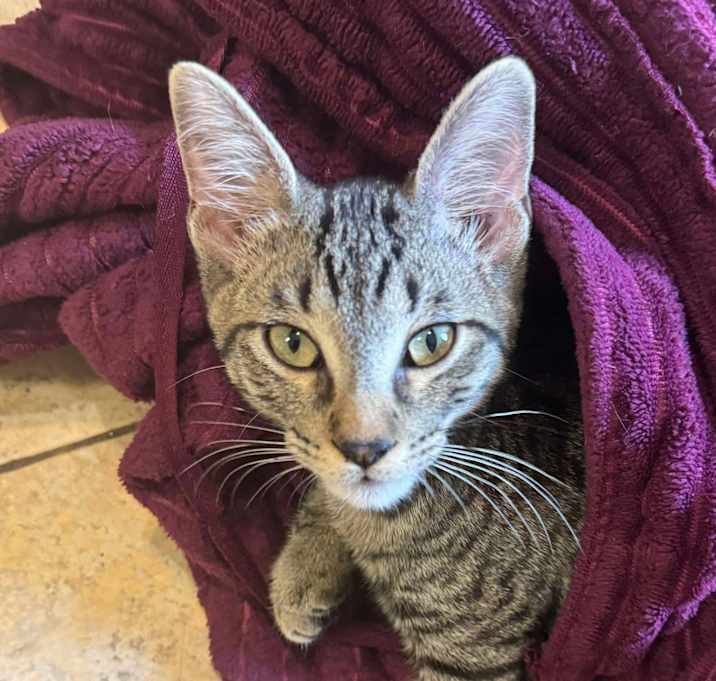 Photo of Skippy
