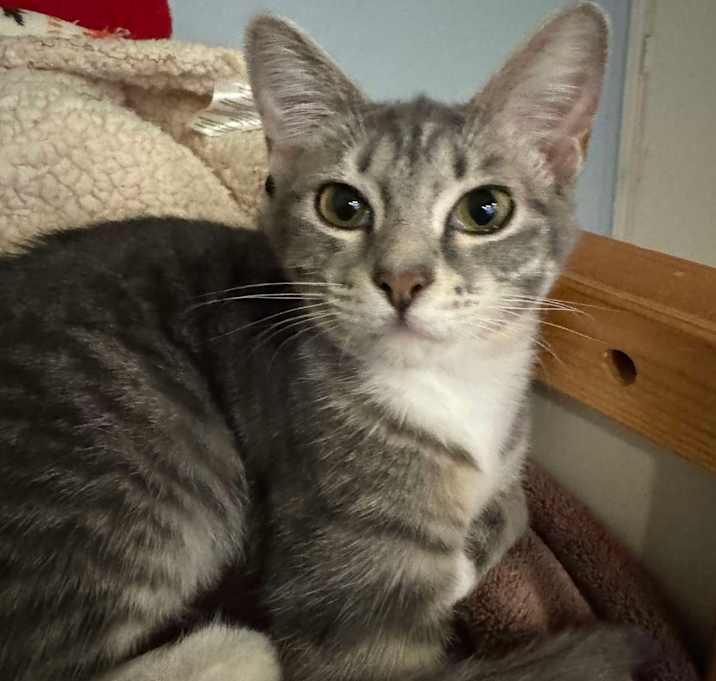 Photo of Tabitha