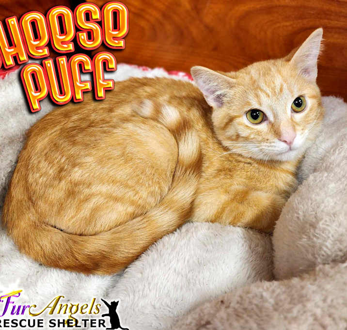 Photo of Cheese Puff
