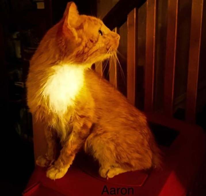 Photo of Aaron