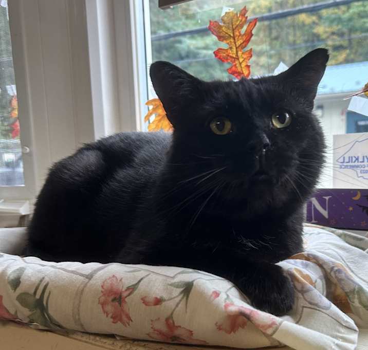 Photo of Jethro