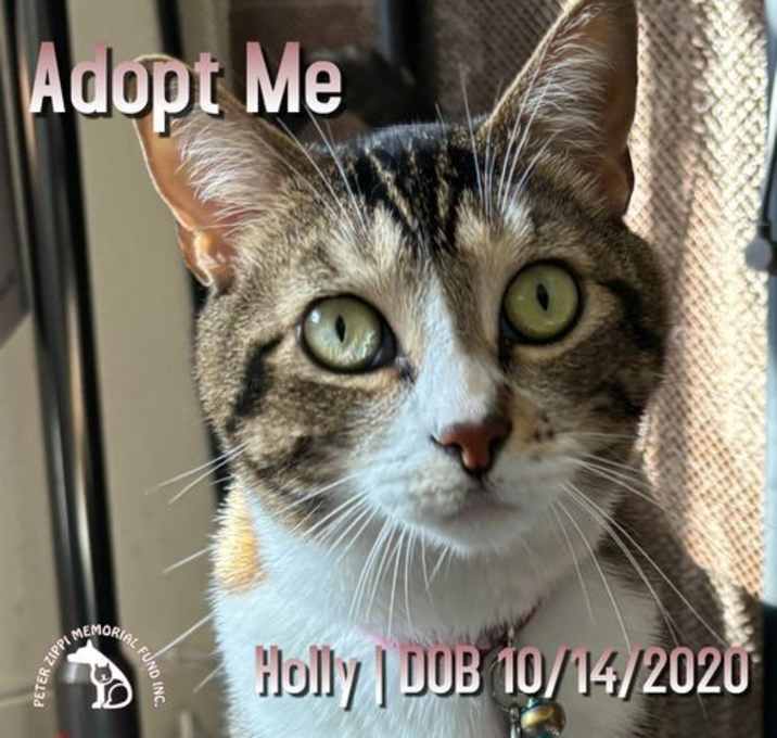 Photo of Holly