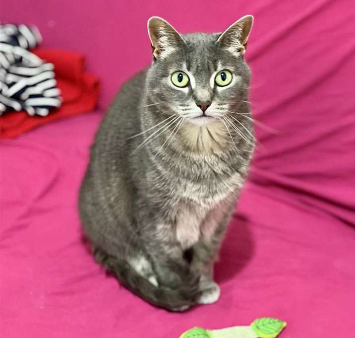 Photo of Posy