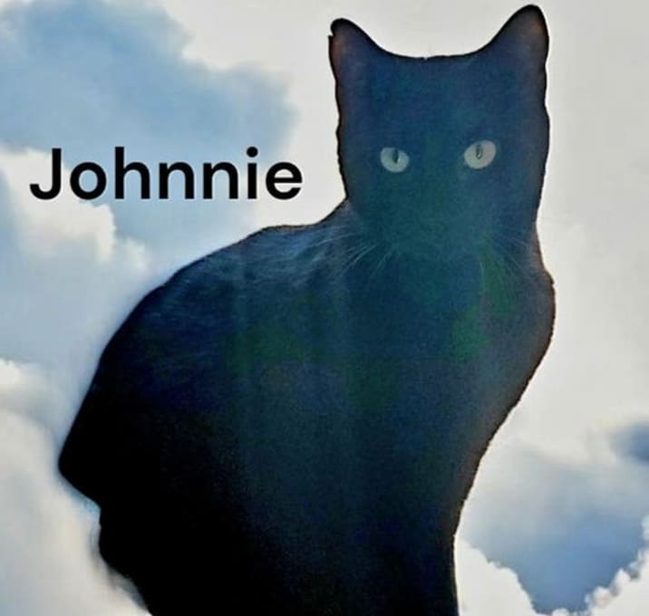 Photo of Johnnie