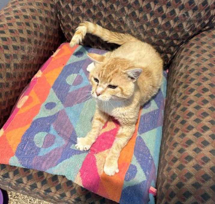 Photo of Will Feral