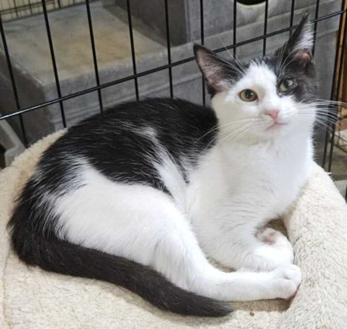 Photo of Tilly