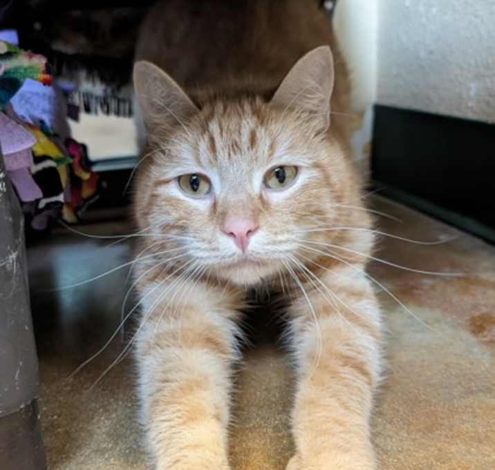 Photo of Godric