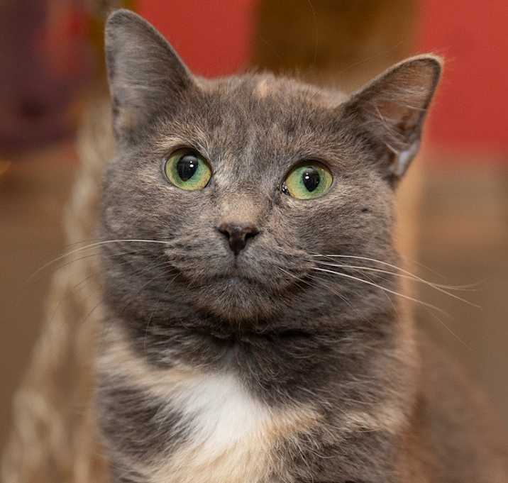 Photo of Wendy