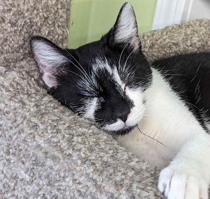 Photo of Ivy