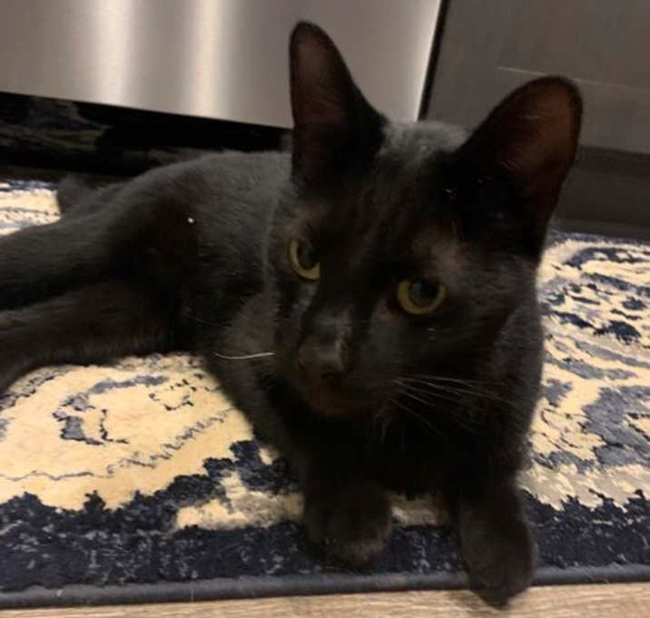 Photo of Jack