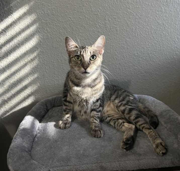 Photo of Lisa