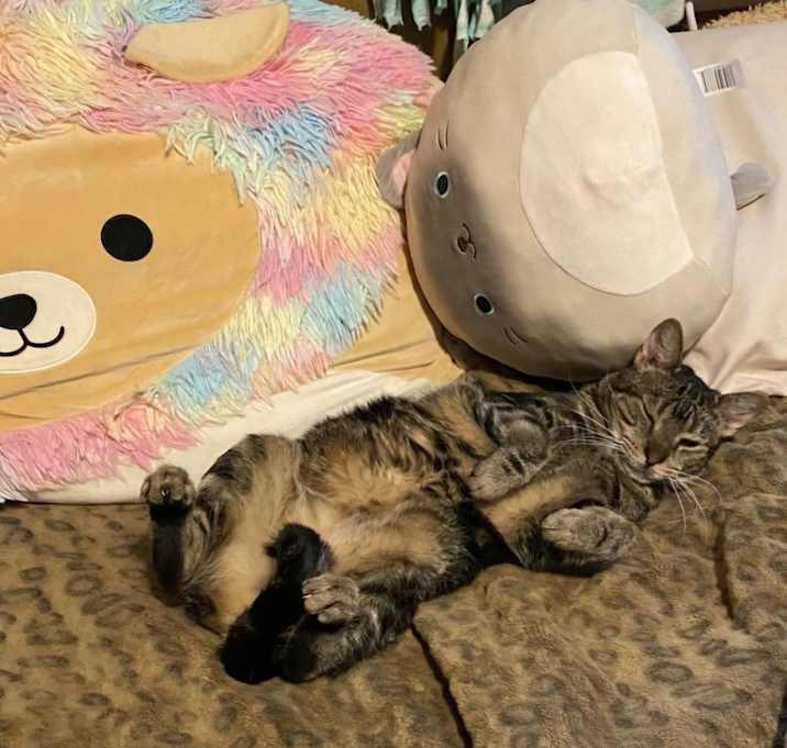 Photo of Storm