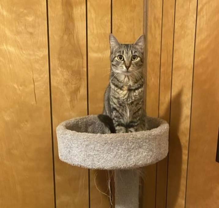 Photo of Smokey