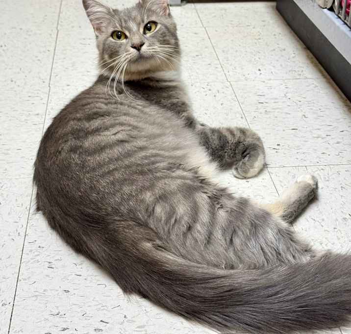 Photo of Wilma