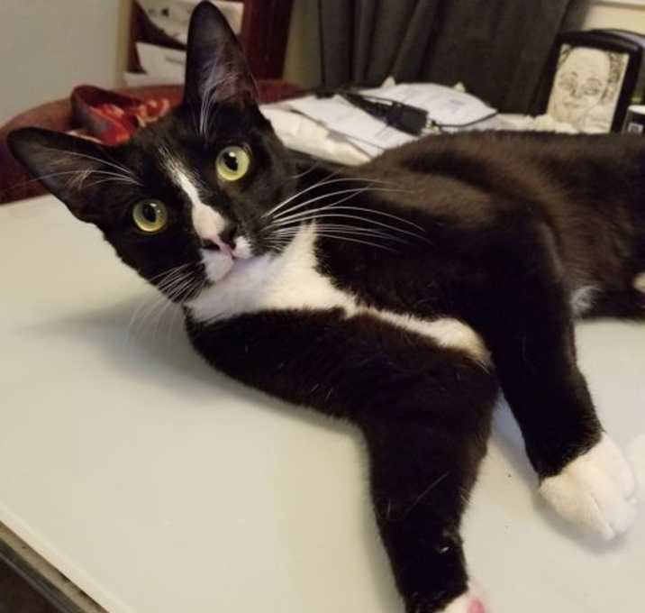 Photo of Office Assistance for hire Prince