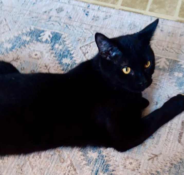 Photo of Sammy