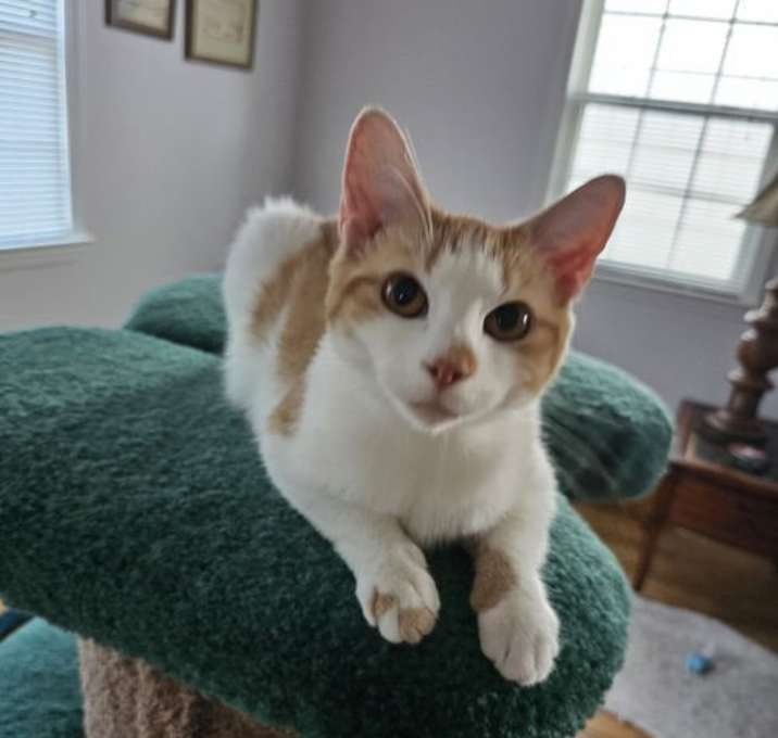 Photo of Alice