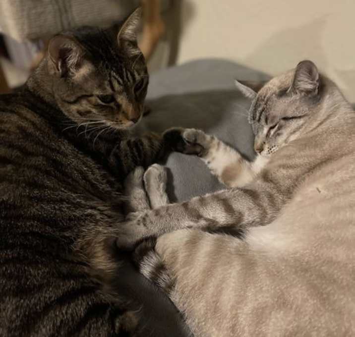 Photo of Freeway & Francisco
