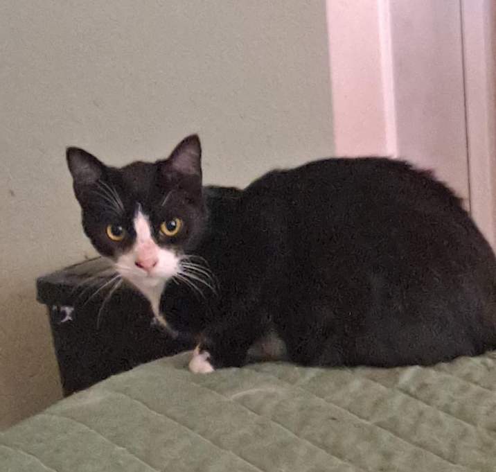 Photo of Buster