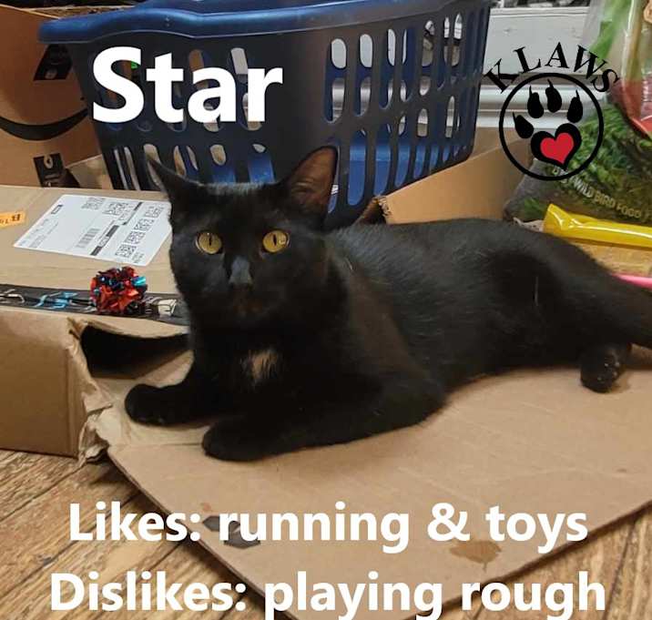 Photo of Star