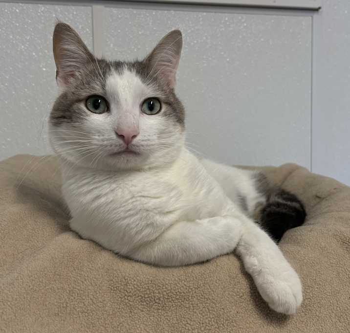 Photo of Elmer