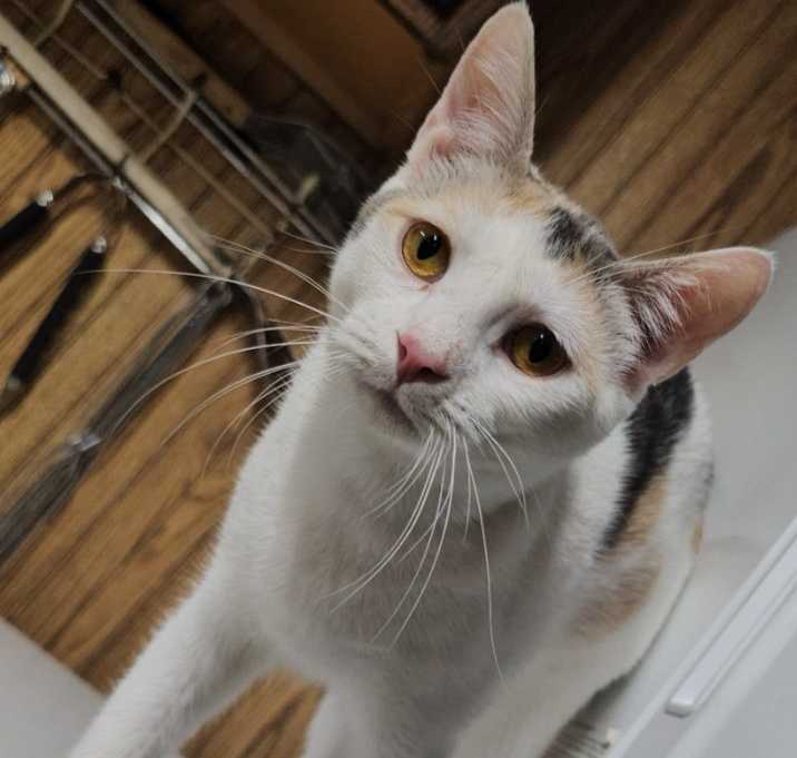 Photo of Layna