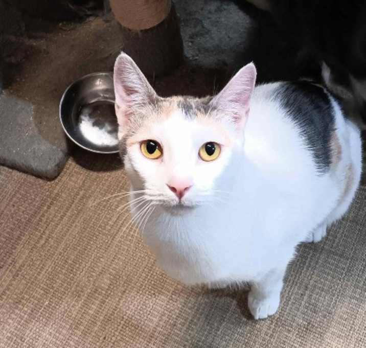 Photo of Layna