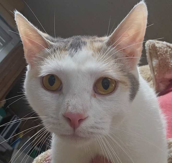 Photo of Layna