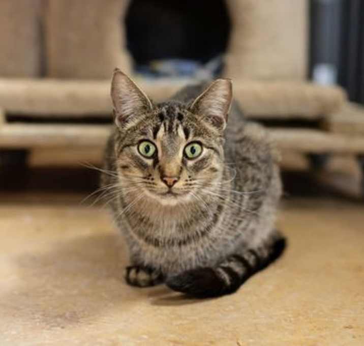Photo of Mason