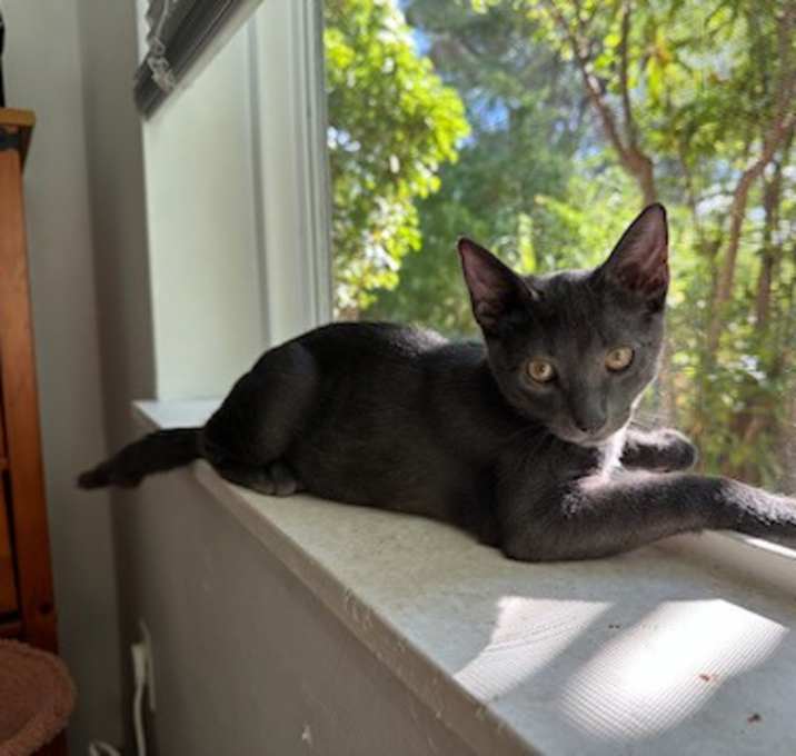 Photo of Metzenbaum!